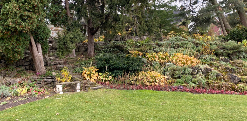 A view of a rock garden with fall colours