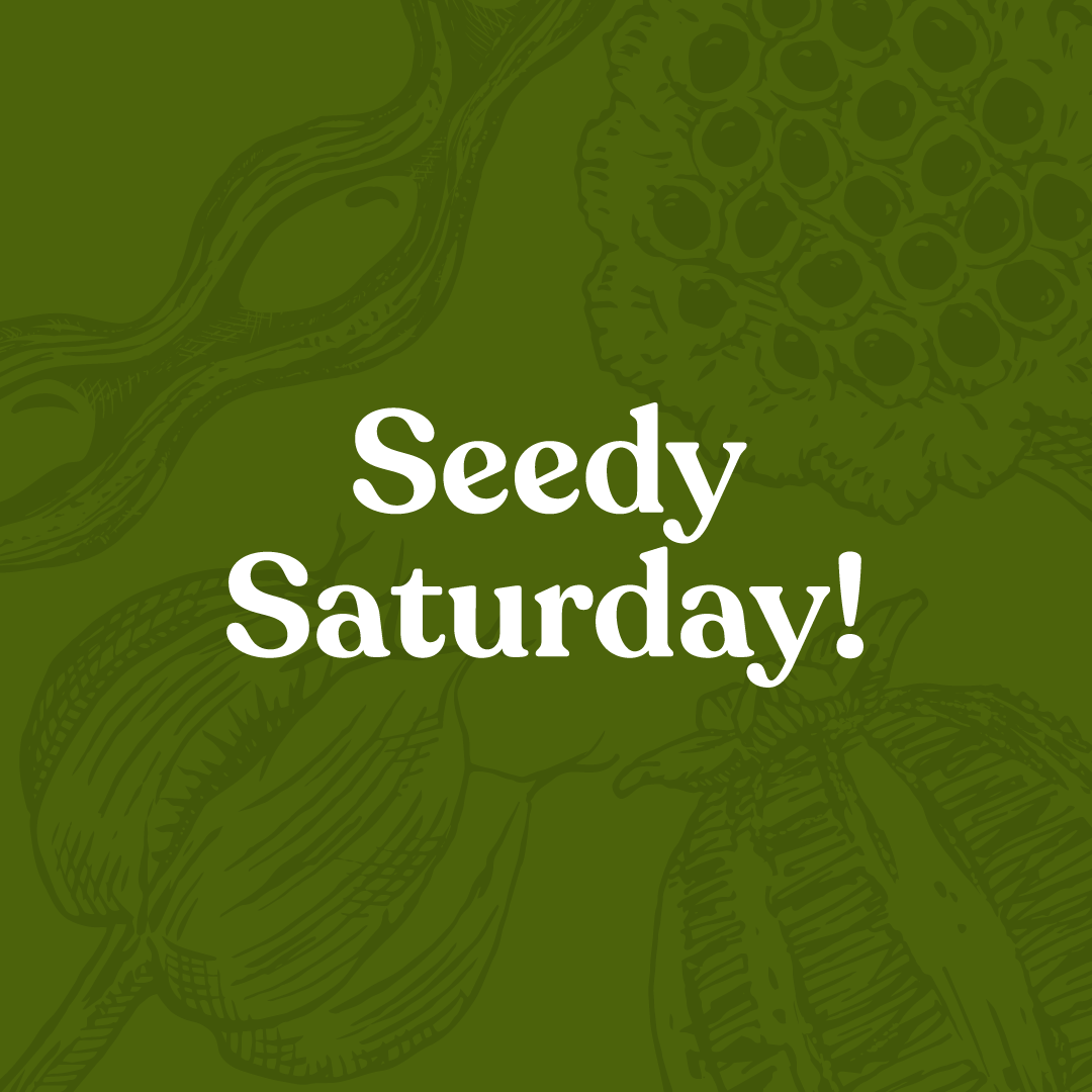 Seedy Saturday!