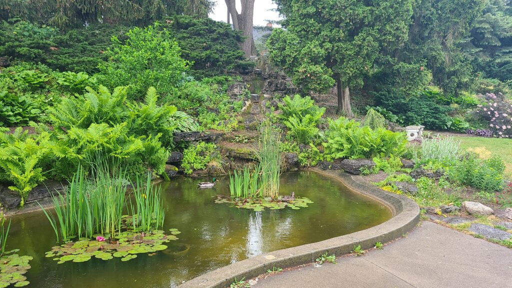 a rock garden on a hill overlooking a pond with Lilly pads