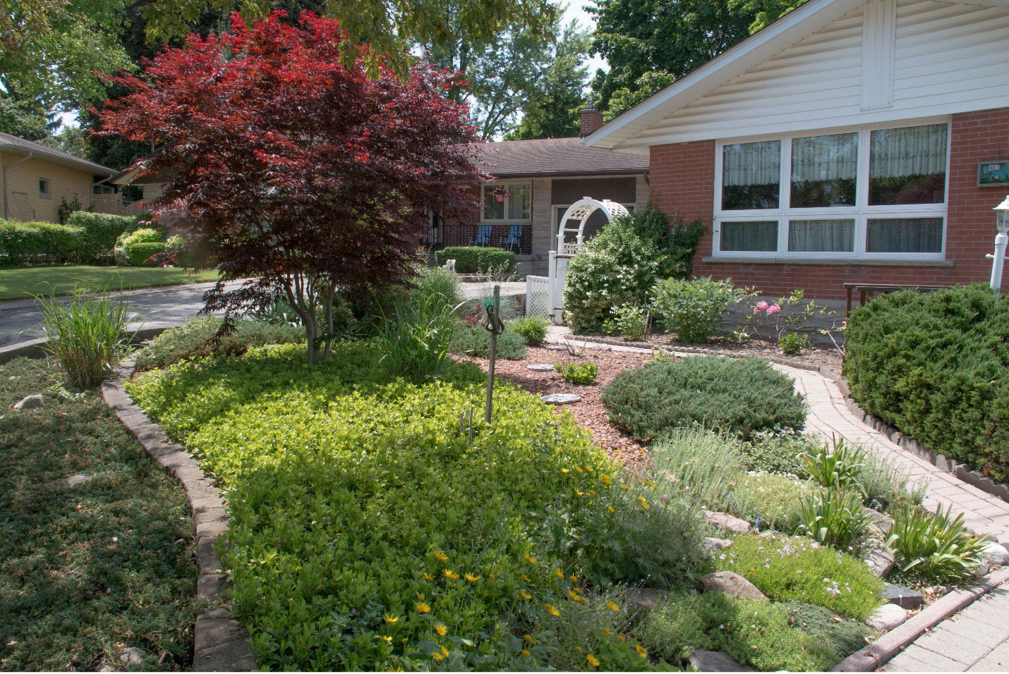 the front garden of a house in Kitchener, Ontario