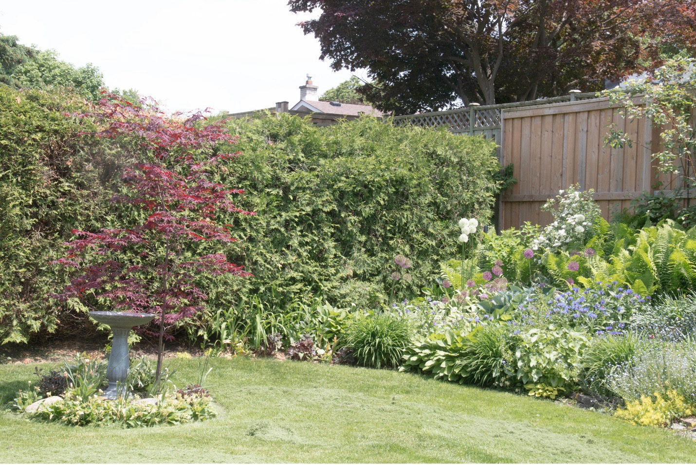 a back yard garden in Kitchener Ontario