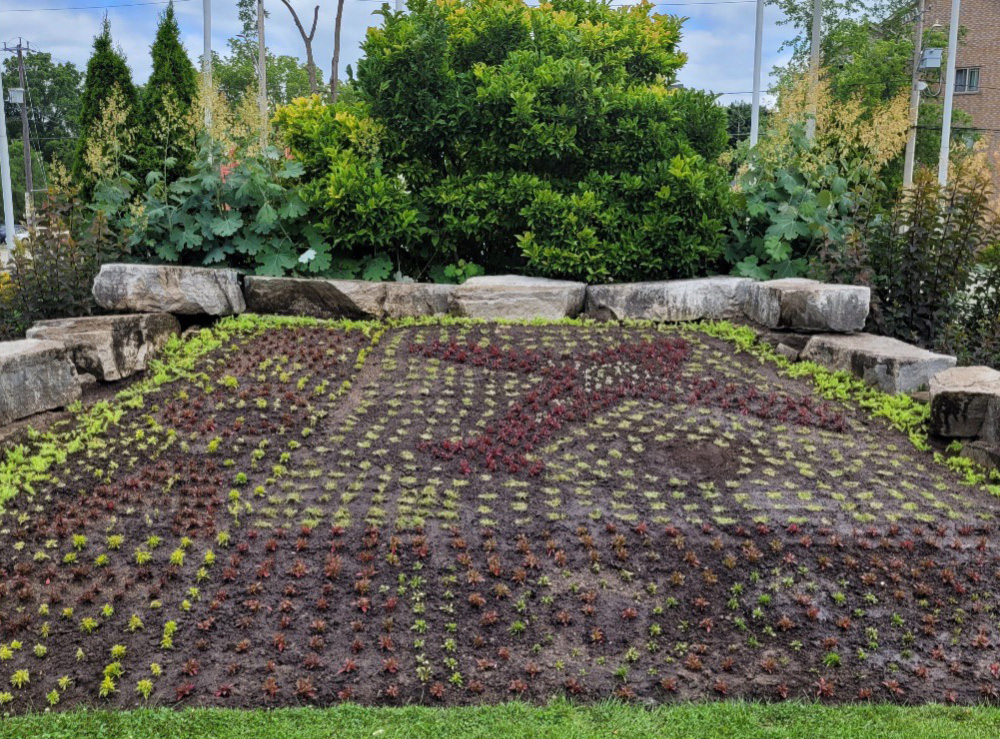 the 2024 carpet bed design featuring the RCAF at Rockway Gardens