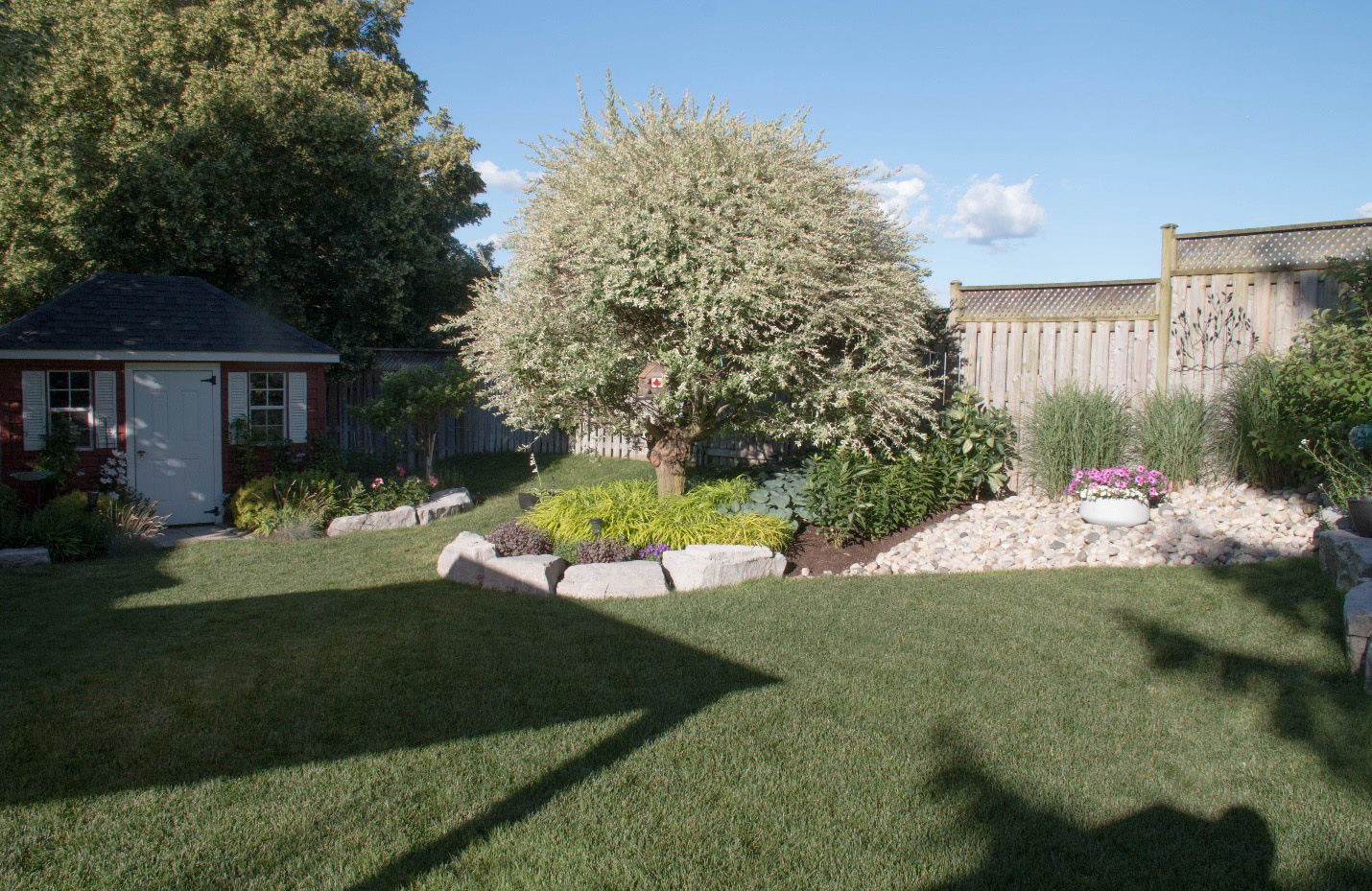 A garden in a yard in Kitchener, Ontario