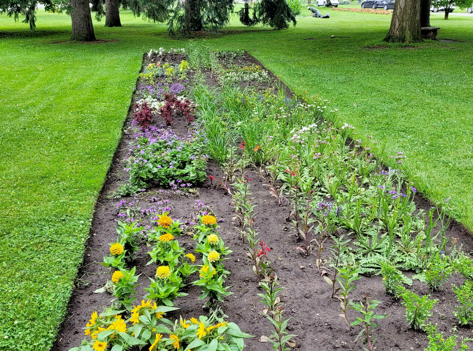 a trial garden bed in Rockway Gardens in Kitchener