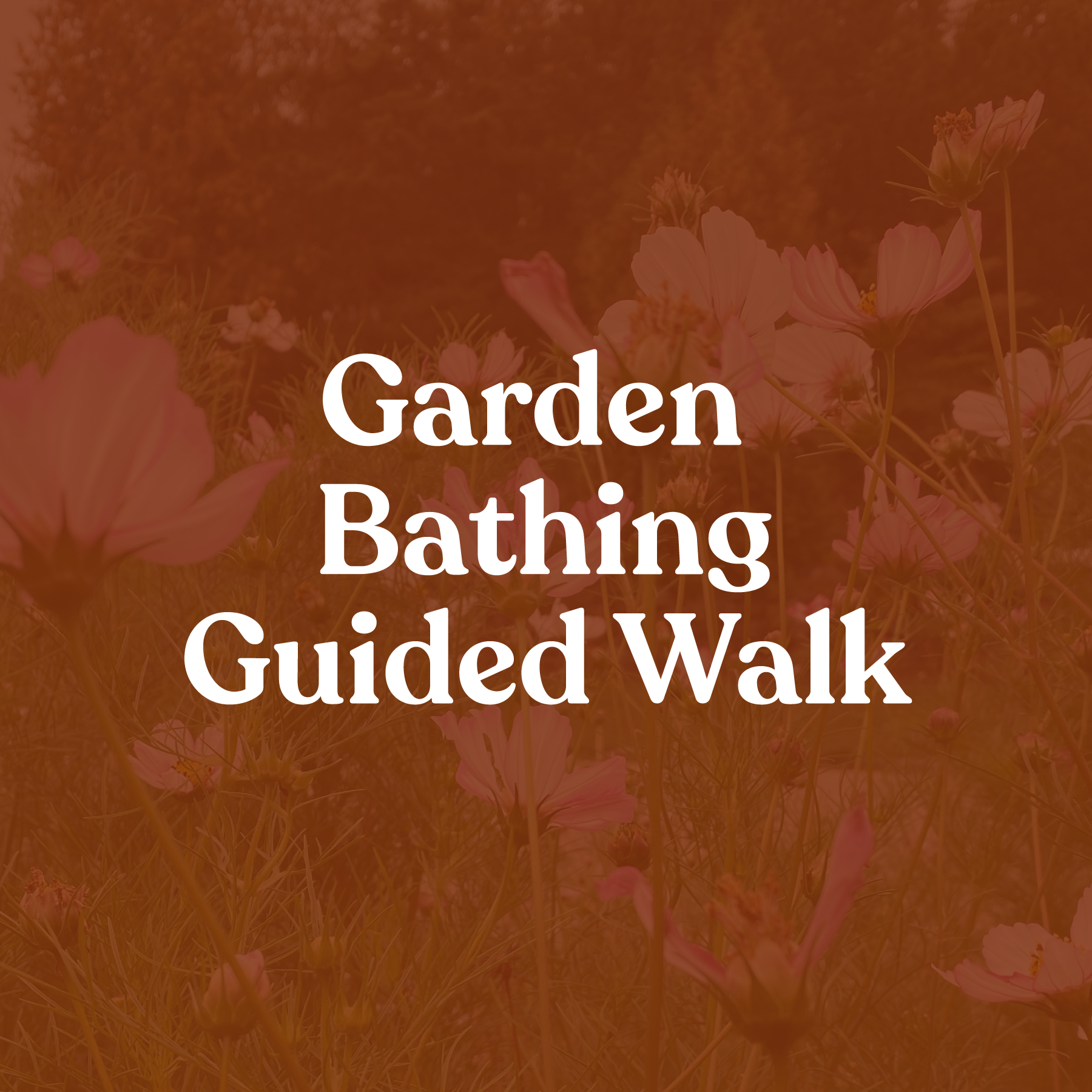 Garden Bathing Guided Walk