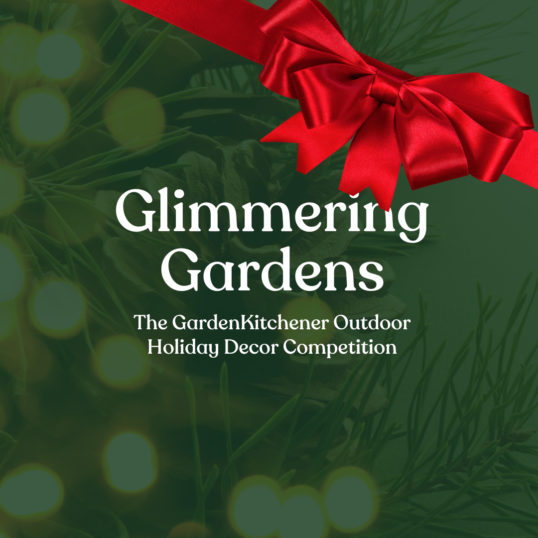 Glimmering Gardens The GardenKitchener Outdoor Holiday Decor Competition