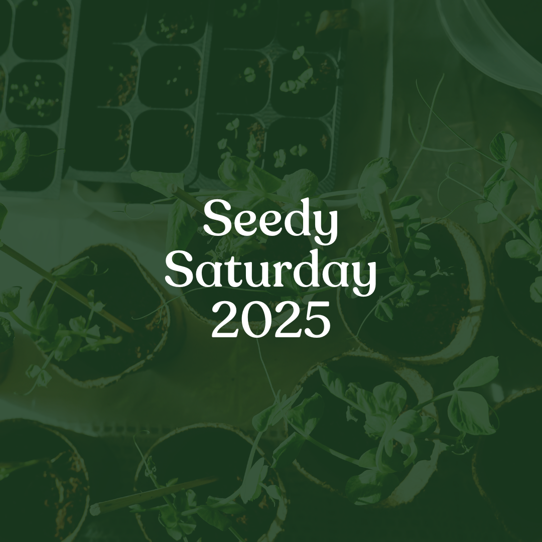 Seedy Saturday 2025 written over photo of seedlings in containers