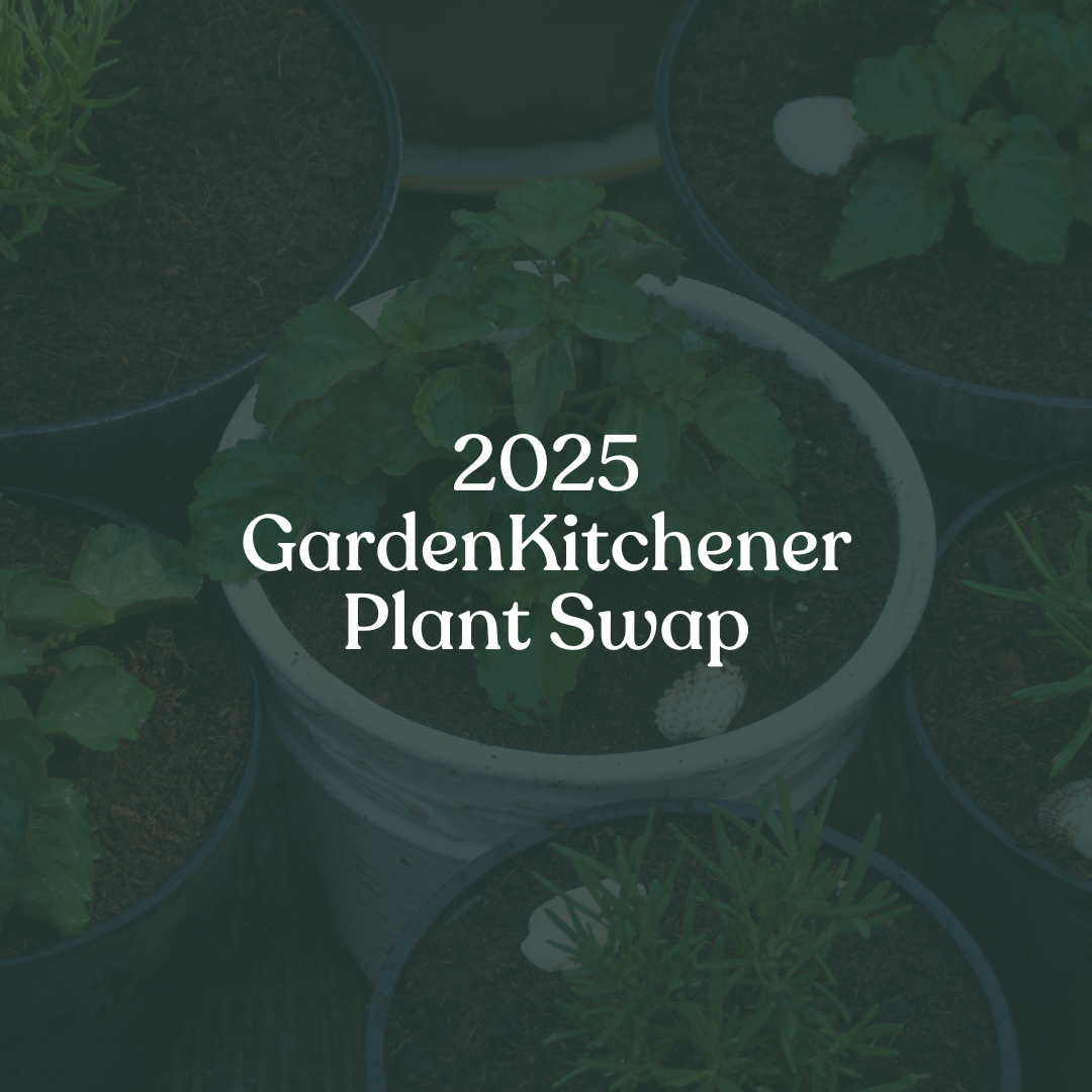 2025 GardenKitchener Plant Swap