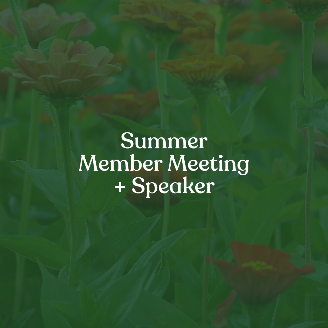 Summer Member Meeting + Speaker