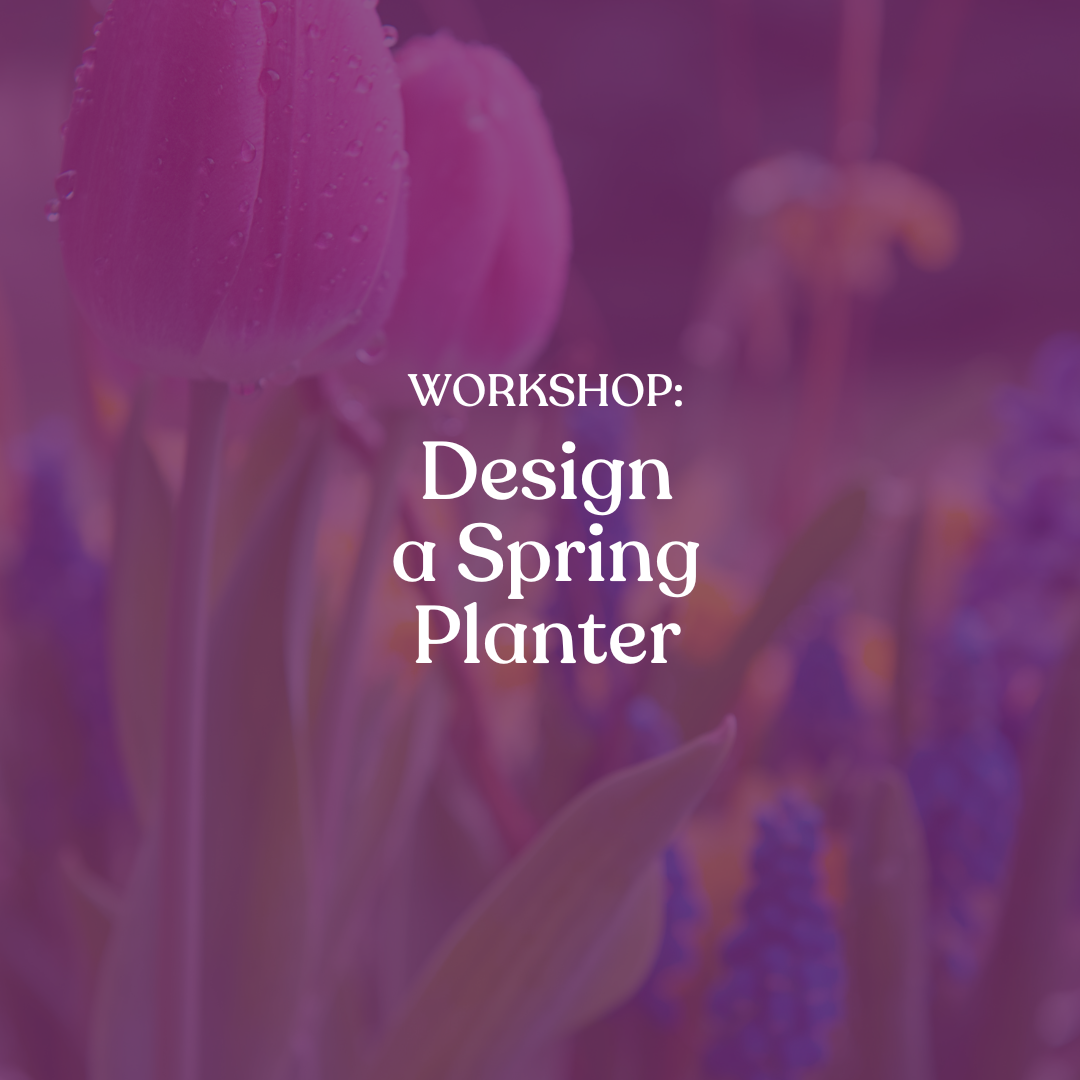 Workshop: Design a Spring Planter