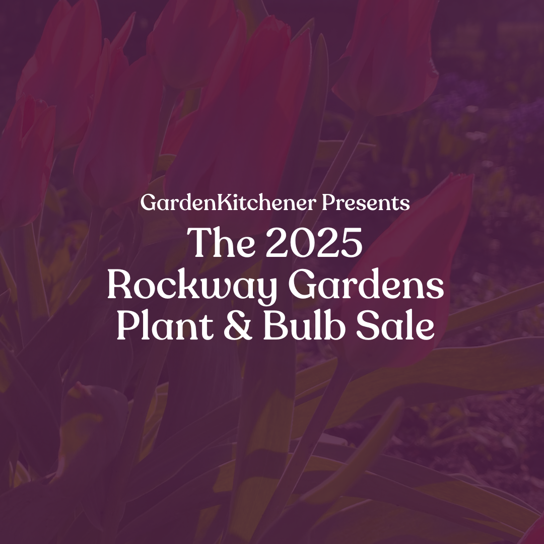 GardenKitchener Presents The 2025 Rockway Gardens Plant & Bulb Sale